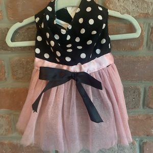 Cleaning out my doggie wardrobe from my puppy modeling days!!